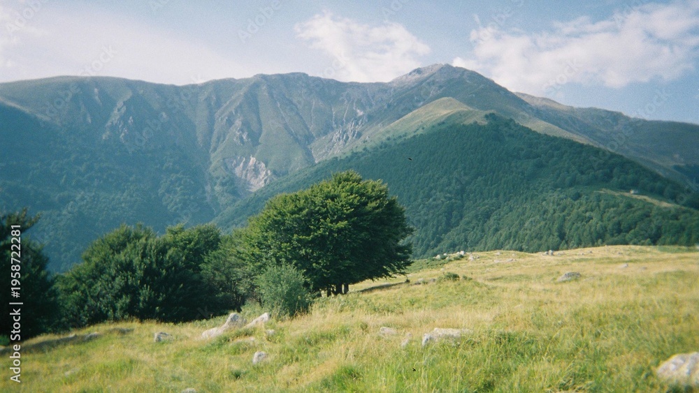 Obraz premium photo de paysage 