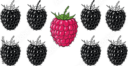 Raspberry among blackberries illustration, colorful berry contrast concept, fresh fruit vector design, healthy food pattern, vibrant raspberry standout artwork