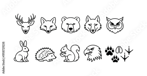 Collection of simple line art icons featuring various forest animals and their tracks