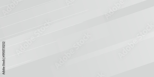 Abstract white and gray background. smooth abstract background, blurred pattern. modern