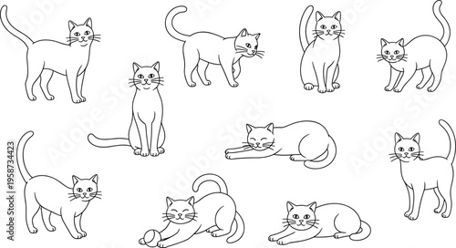 Cartoon illustration of cats in playful poses, outlined drawing style, pet behavior reference, animal anatomy sketch, feline posture educational artwork