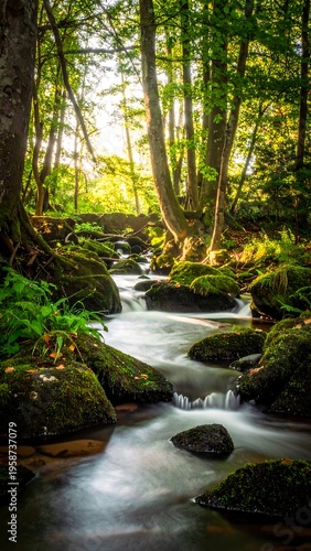 Serene forest stream, blurred motion of water flowing over mossy rocks and lush greenery