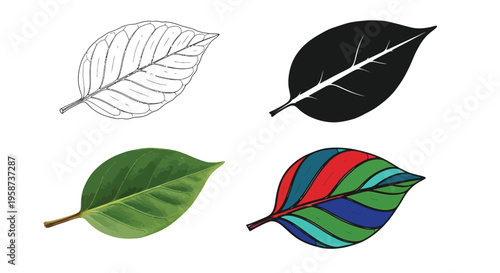 Four distinct graphical representations of a single leaf detail various artistic styles, including outline, color, photo, and abstract pattern.