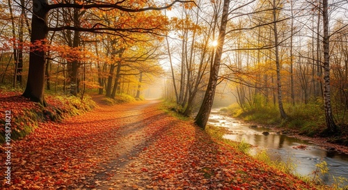 Serene Autumn Forest Path with Sunlight Filtering Through Trees and Reflective Stream
