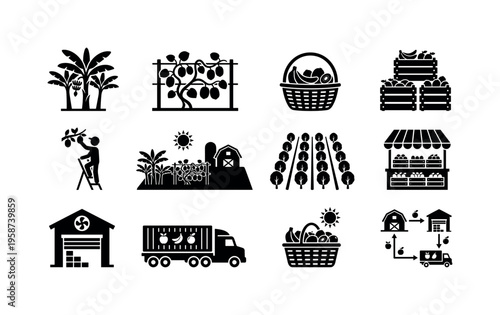 Collection of agricultural icons depicting fruit farming and distribution processes