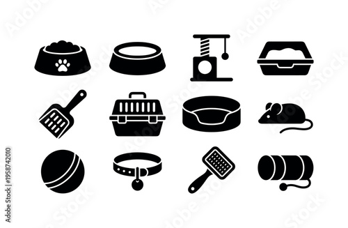 Collection of essential cat care accessories and toys for pet owners