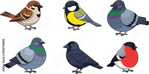 Vintage Hand Sketched Wild Bird Species Vector Set Featuring Sparrow Titmouse Pigeon Crow and Bullfinch with Etched Texture for Garden Nature and Urban Wildlife Graphic Designs