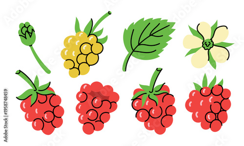 Charming collection of hand drawn raspberries with leaves, buds, and flowers in a playful cartoon style. Bright colors and simple shapes create a fresh, organic look ideal for food design, packaging, 