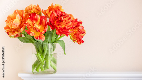Orange tulips bouquet in glass vase on white shelf, soft light background with copy space, spring floral background, elegant minimal composition
