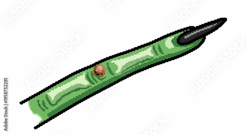 Green severed finger with black nail and wart.