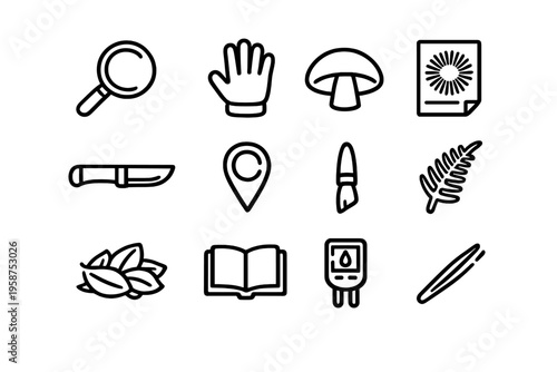 A set of twelve minimalist line icons representing foraging and