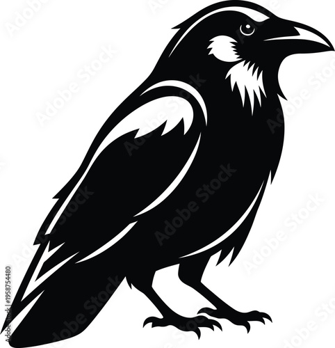 Black silhouette of a bird with white accents