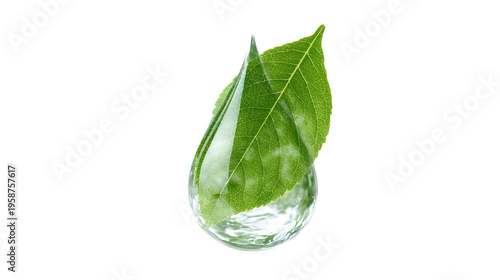 Clear water drop containing green leaf, eco and sustainability concept isolated on white background