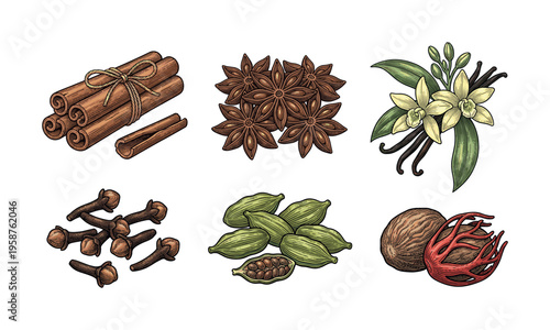 Set of aromatic spices in vintage engraving style. Cinnamon, star anise, vanilla, clove, cardamom, nutmeg. Vector illustration for culinary design, packaging, and menus.