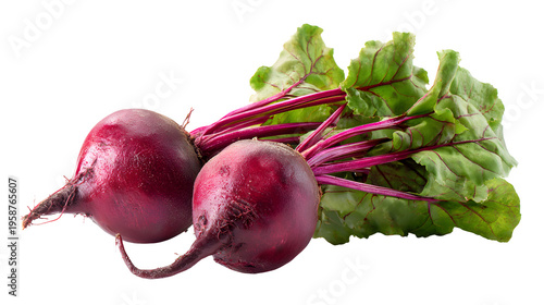 Fresh beetroot with leafy greens attached, healthy vegetable ingredient, isolated on white background