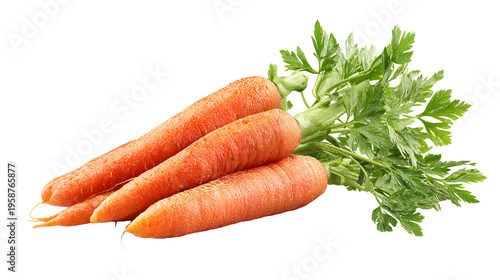 Fresh carrot vegetable, organic cooking ingredient isolated on white background