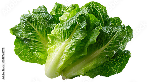 Fresh green romaine lettuce separately isolated PNG, vibrant vegetable with crisp leaves for healthy eating and salad preparation on transparent background