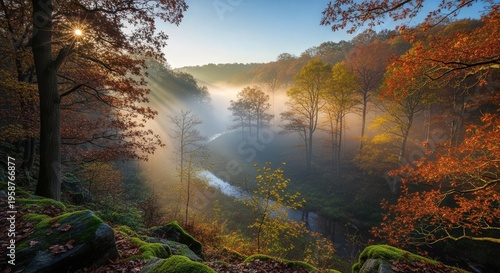 Serene Autumn Forest Scene with Mist Over a Tranquil River