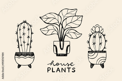 Set of three hand-drawn potted plants with lettering phrase "House plants". Vector line drawing of cactuses and Epipremnum aureum. Botanical design for web banner, logo, or coloring book.