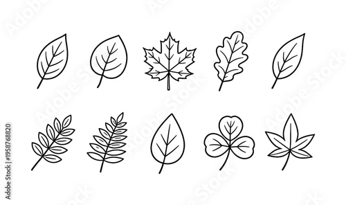 Collection of simple line art icons representing various leaf shapes and types