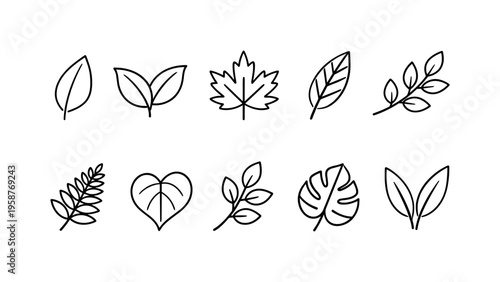 Collection of simple line art icons representing various types of leaves and branches
