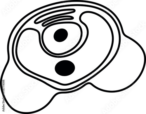 Pollen grain cell line art illustration. Vector sketch of microscopic biological structure isolated on white