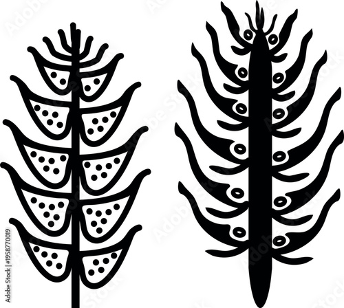 Black silhouette of the cross-section of female and male spruce cones. Diagram showing pollen and seed cones.