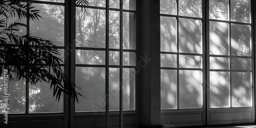 shadow overlay effects of realistic abstract windows shadow. Summer sunlight and shadow overlay effect,shadow for photo interior backdrop studio mockup