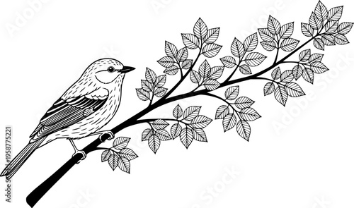 A small bird perched gracefully on a tree branch with delicate leaves