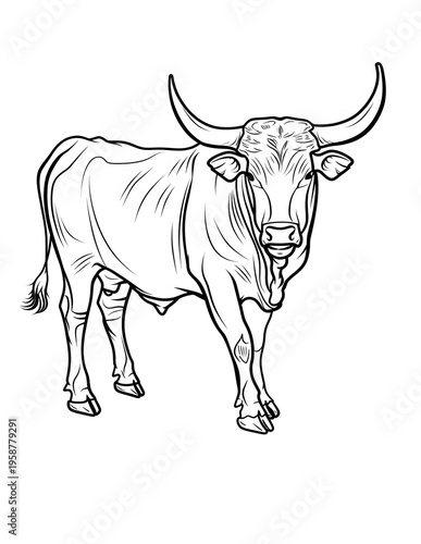Animal Adults Coloring Pages, Animal Coloring Page, Animals Coloring Book, Animals Outline, Animals Lineart