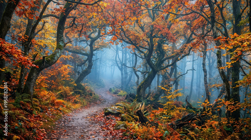 Serene Autumn Forest Scene with Vibrant Fall Foliage and Misty Pathway