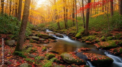Serene Autumn Forest Stream Scene with Falling Leaves and Vibrant Colors