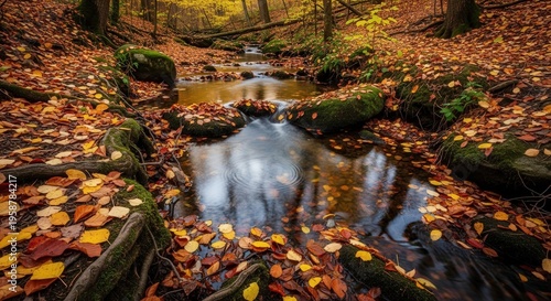 Serene Autumn Forest Stream with Fallen Leaves and Reflective Water Surface