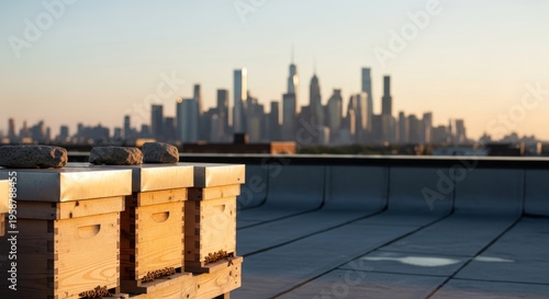 Urban beehives on rooftop with city skyline at sunset