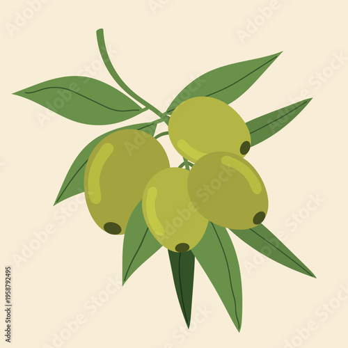 Green Olives Branch Flat Vector Illustration. Minimalist flat vector illustration of a green olive branch with leaves