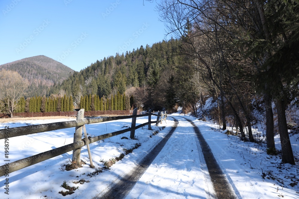 Fototapeta premium Picturesque view of trees, snow and mountains on winter day