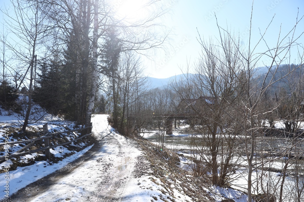 Fototapeta premium Picturesque view of trees, snow and mountains on winter day