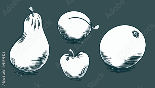 Hand-drawn Fruit Silhouettes on dark background. Set of White Shapes with Hatched shadows. Pear, apple, plum. Healthy vitamin nutrition. Orange, tangerine, citrus. Art. Isolated. Vector illustration