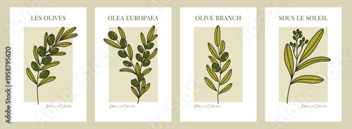 Minimalist olive branch poster set with Mediterranean flora and retro green border.