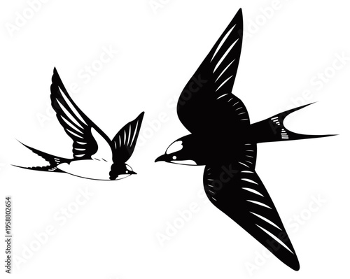 ツバメの飛翔シルエットイラストセット / Flying Swallow Silhouettes Set