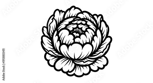 Black and white peony flower illustration in stylized graphic art