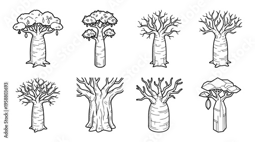 baobab tree , 6 black line isometric 3d vector collection , white background , PNG and SVG isolate
