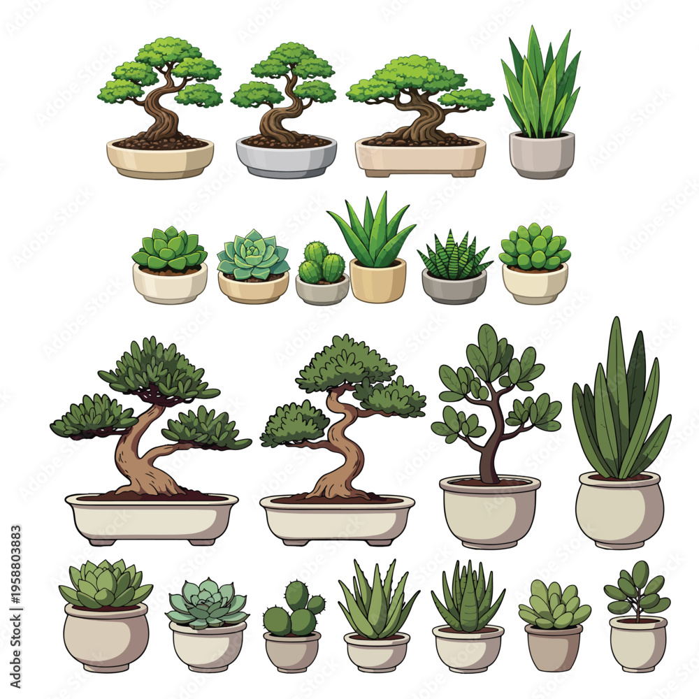 Fototapeta premium Collection of Potted Bonsai Trees and Succulents in Decorative Planters for Indoor Decor