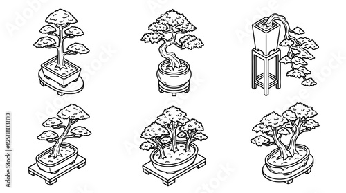 bonsai tree , 6 black line isometric 3d vector collection , white background , PNG and SVG isolate