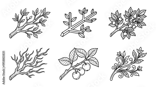 branch , 6 black line isometric 3d vector collection , white background , PNG and SVG isolate
