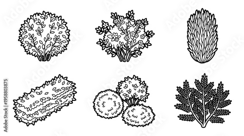 bush , 6 black line isometric 3d vector collection , white background , PNG and SVG isolate