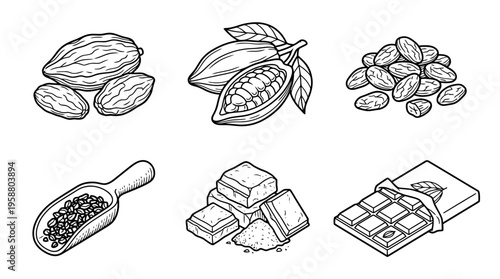 cacao bean , 6 black line isometric 3d vector collection , white background , PNG and SVG isolate