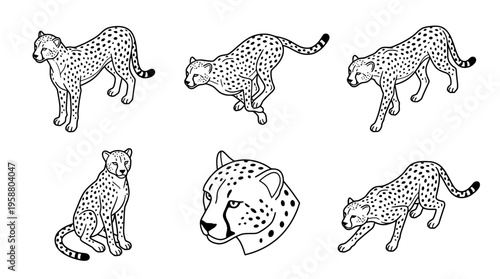 cheetah , 6 black line isometric 3d vector collection , white background , PNG and SVG isolate