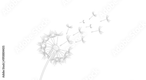 Dandelion with flying seeds in simple line art style