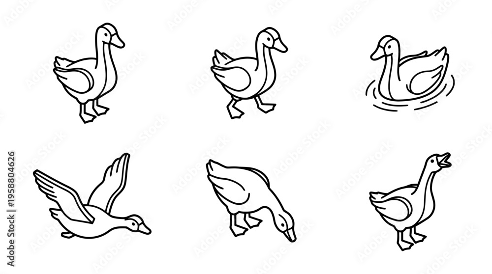 Obraz premium goose , 6 black line isometric 3d vector collection , white background , PNG and SVG isolate